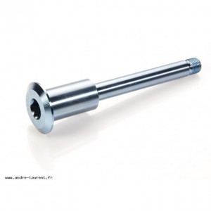 Special screw: Ø 10X120 Blue titanium