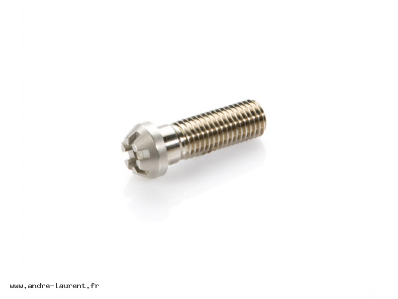 Cylindrical head screw Inconel 715