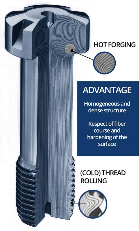 Advantage of hot forging and thread rolling: Homogeneous and dense structure Respect of fiber course and hardening of the surface